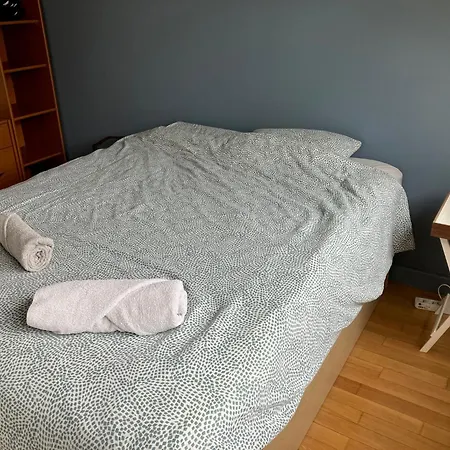Apartamento Large In Center *